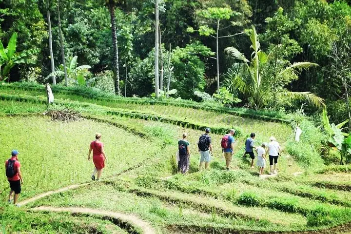 Lombok Countryside Tour – 8 Hours