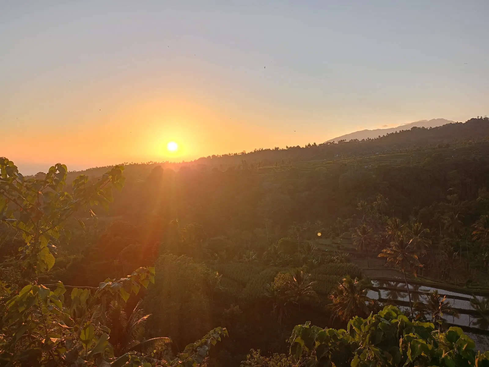 Senaru Lodge Image