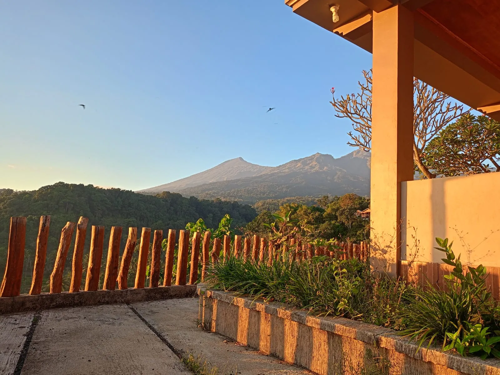 Senaru Lodge Image