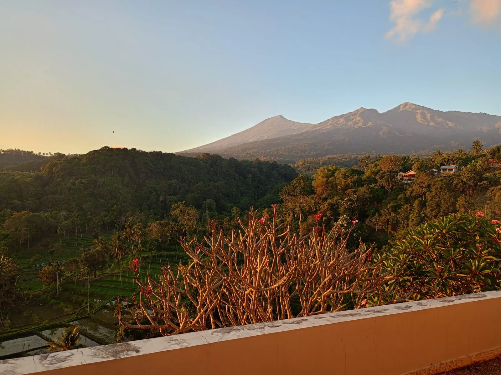 Senaru Lodge Image