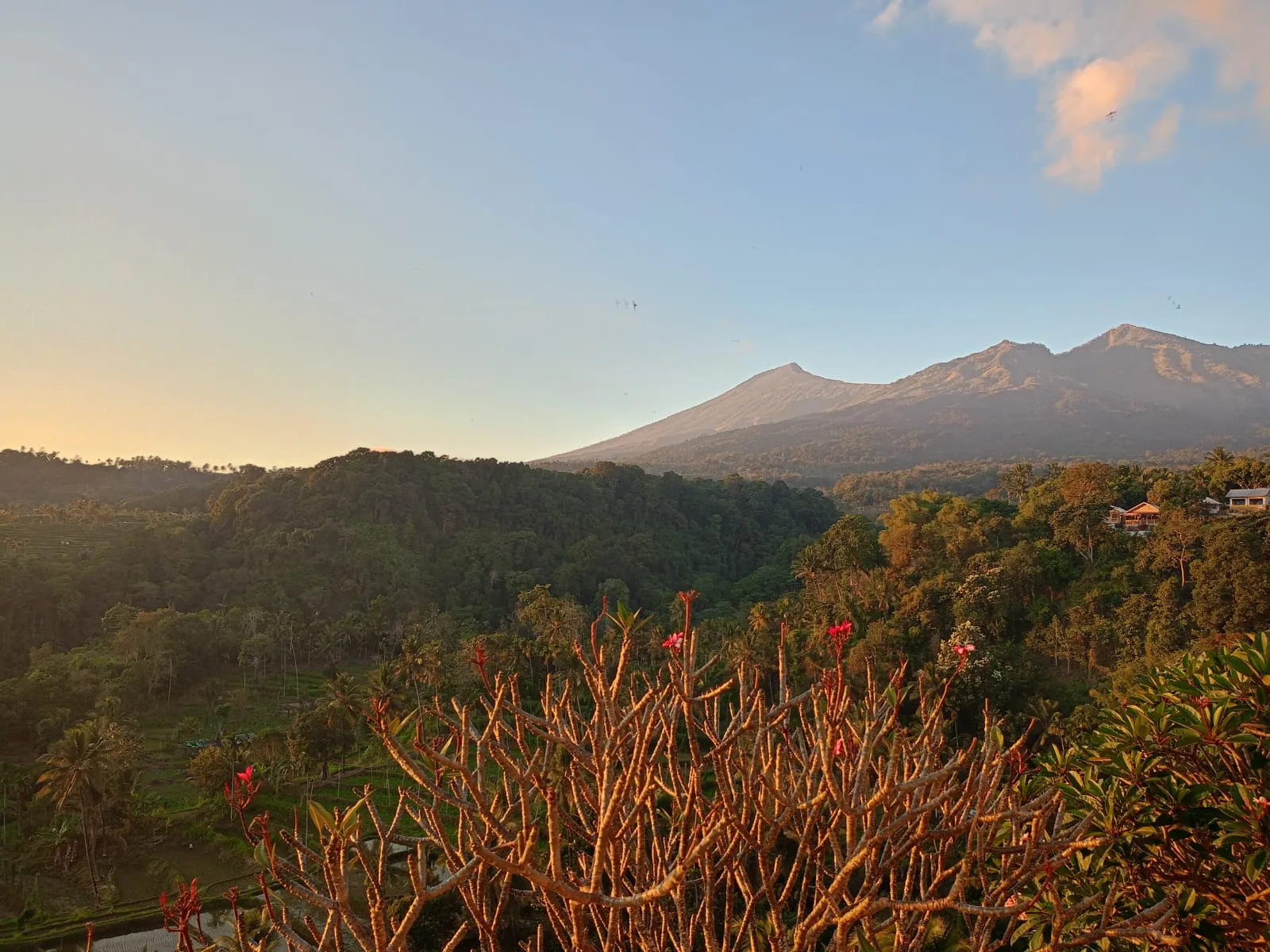 Senaru Lodge Image