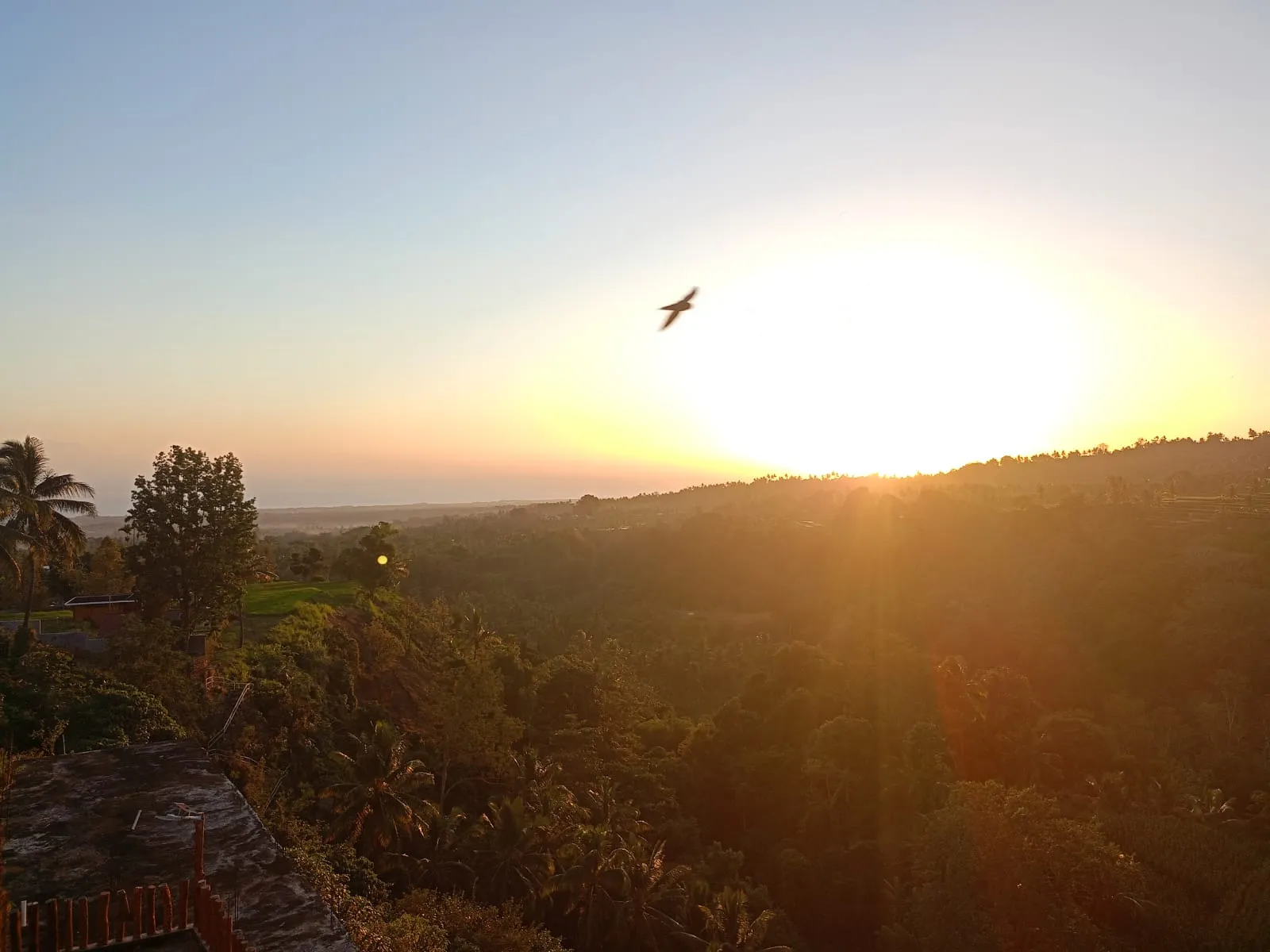 Senaru Lodge Image